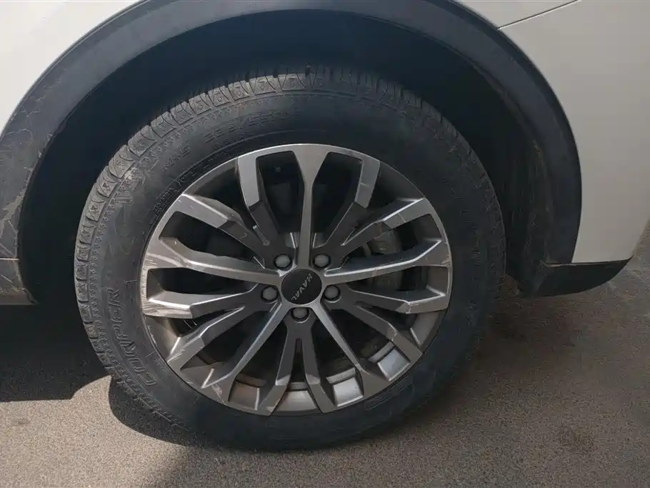 Haval H6 2020 2.0GDIT Automatic Platinum Champion Edition фото 6
