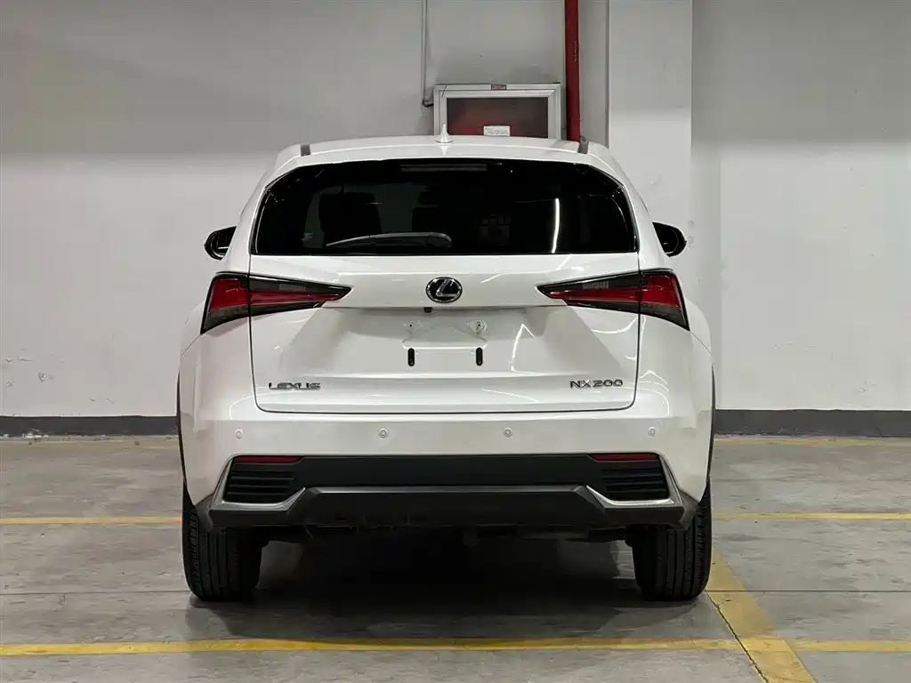 Lexus NX 2018 Model 200 FWD Fengxing Edition China V фото 6
