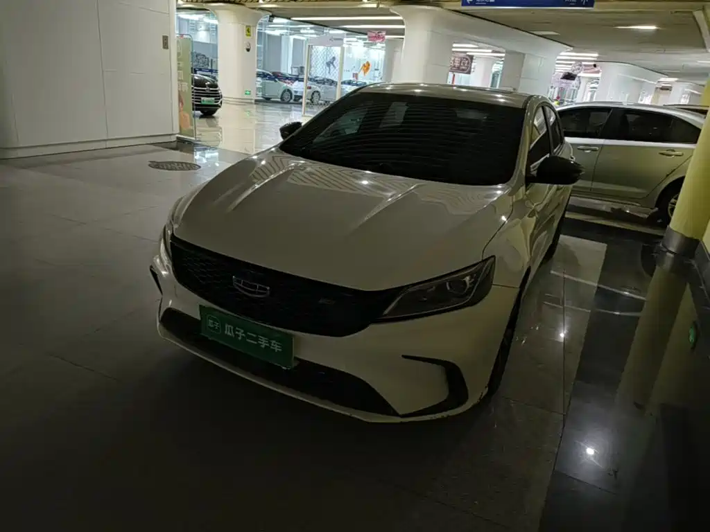 Фото 2 - Geely Binrui