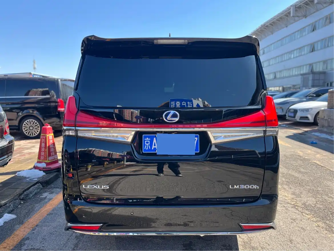 Lexus LM 2020 300h 4-Seat Imperial Edition фото 5