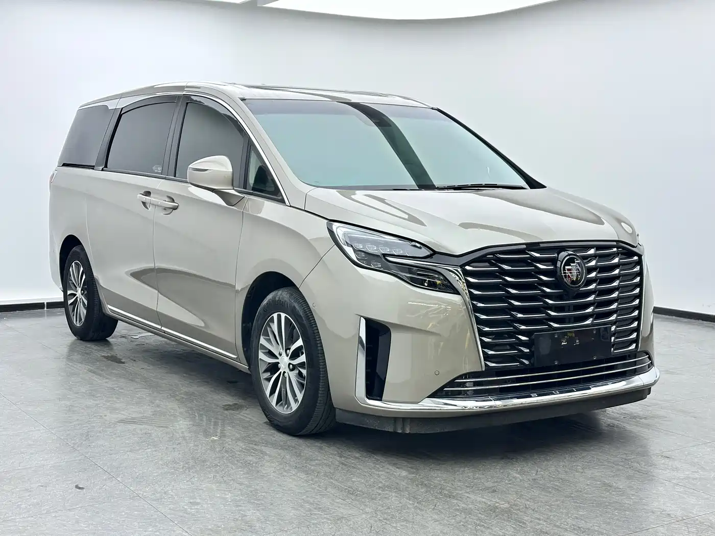 Buick GL8 2023 ES Landmaster Exclusive фото 3