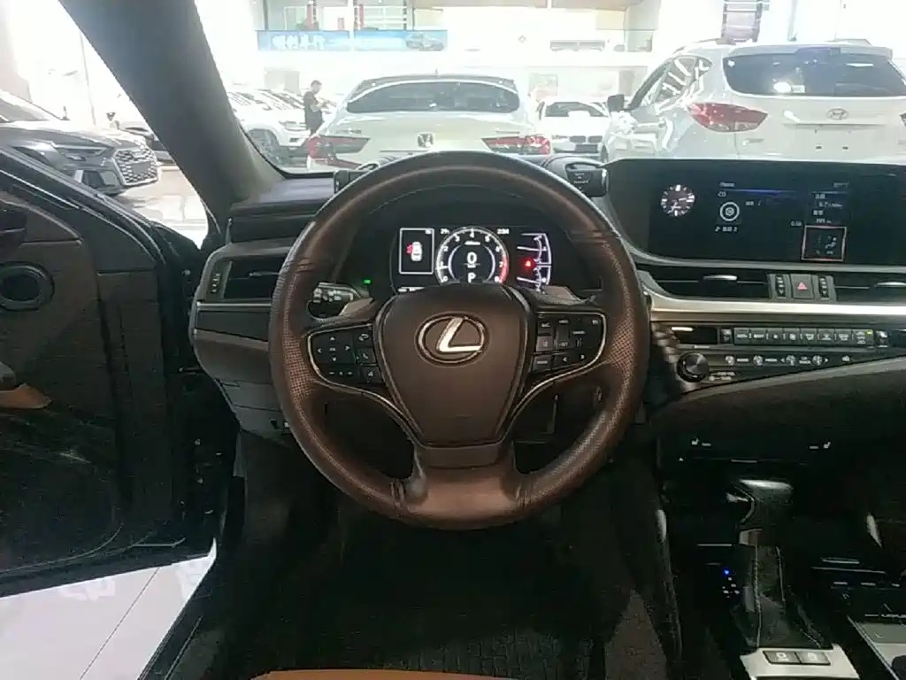 Фото 11 - Lexus ES