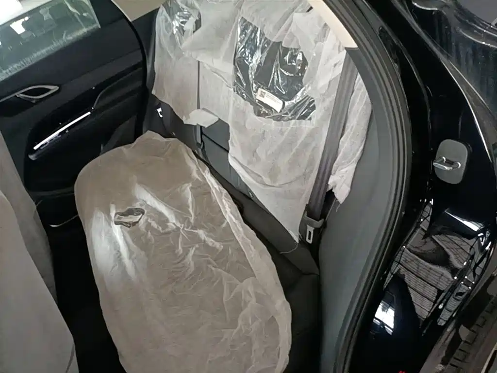 Hongqi HS3 PHEV 2025 PHEV 115km Power Edition фото 17