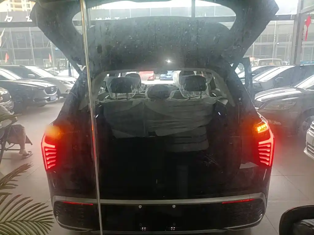 Hongqi HS3 PHEV 2025 PHEV 115km Power Edition фото 19