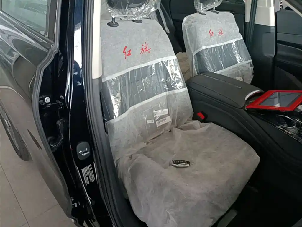 Hongqi HS3 PHEV 2025 PHEV 115km Power Edition фото 25