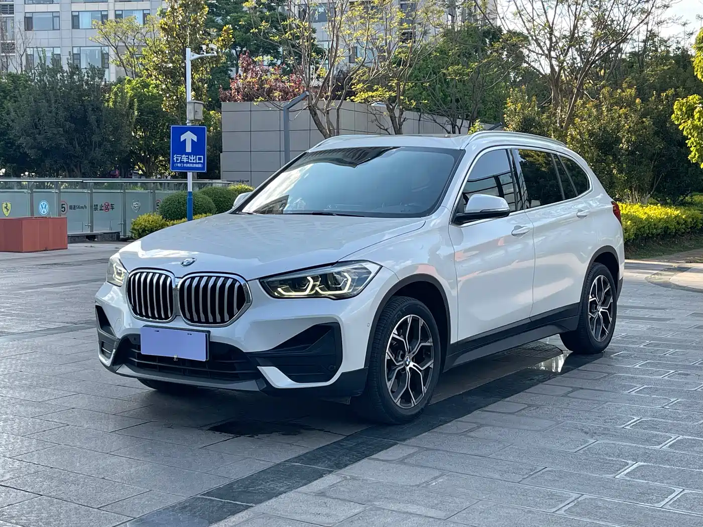 BMW X1 2020 sDrive25Li Leading Model