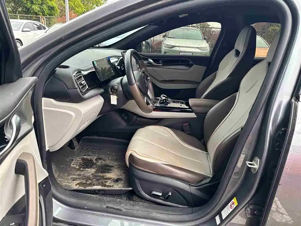 BYD Qin PLUS 2024 Glory Edition DM-i 120KM Premium фото 5