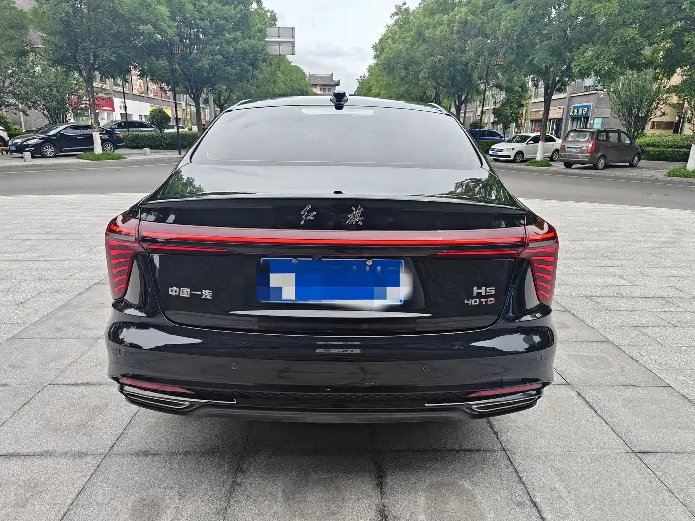 Hongqi H5 2025 2.0T Automatic Mystic Shadow фото 8