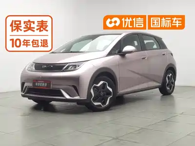 BYD Dolphin