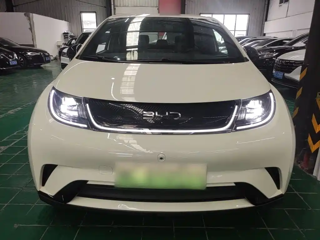 BYD Dolphin 2024 Glory Edition 420km Fashion Edition фото 3