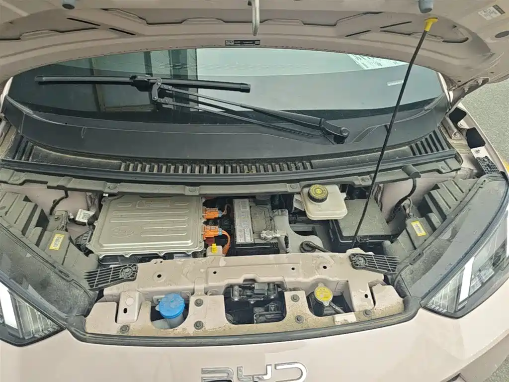 BYD Seagull 2024 Glory Edition 305km Freedom Edition фото 20