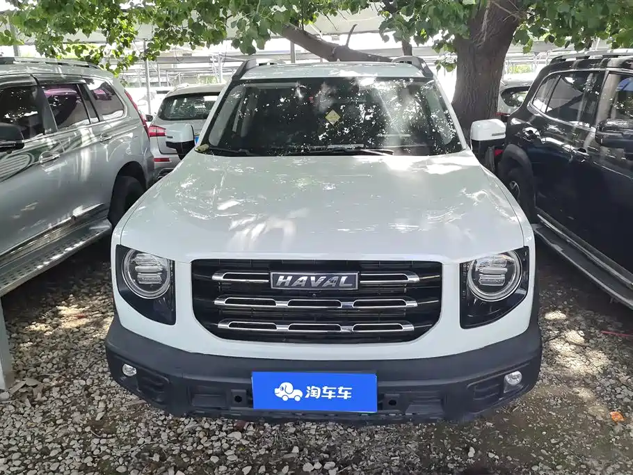 Haval Big Dog 2022 1.5T DCT FWD Labrador Edition фото 2