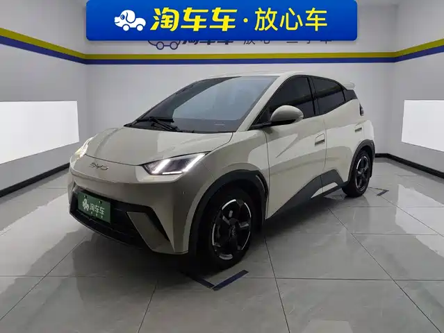 BYD Seagull 2024