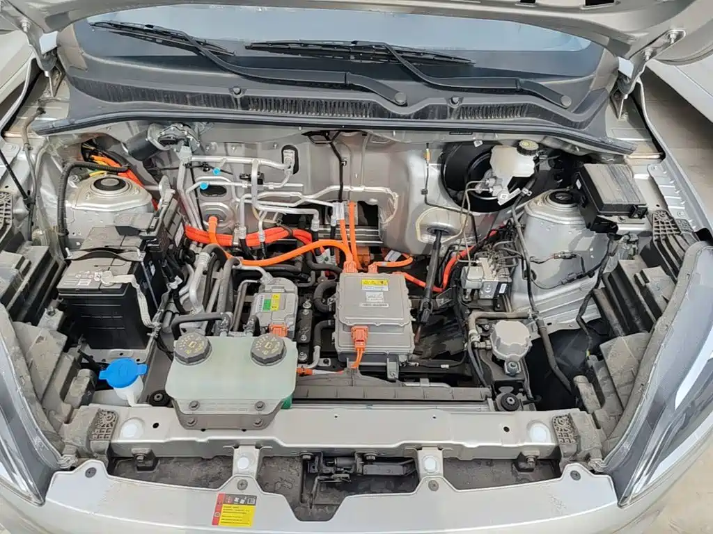 Фото 20 - Wuling Motors Wuling Hongguang New Energy