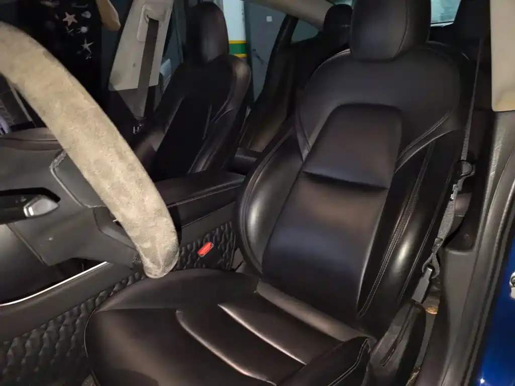 Tesla Model 3 2020 2020 Standard Range Rear-Wheel Drive Upgrade