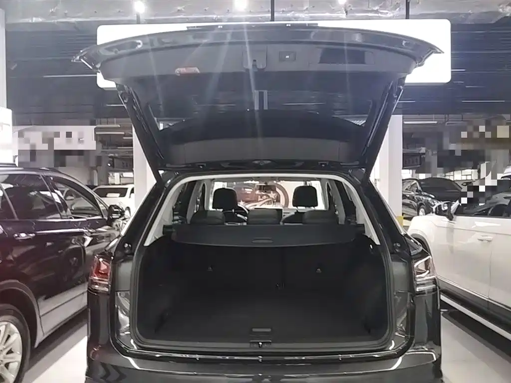 VOLKSWAGEN TANYUE