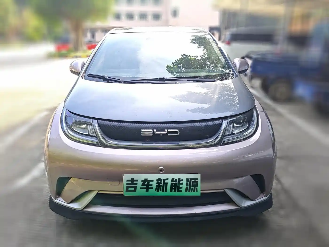 BYD Dolphin 2021 401km Knight Edition