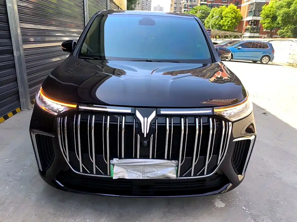 Voyah Auto Voyah Dreamer 2024 PHEV Ultra Long Range Premium Edition фото 2