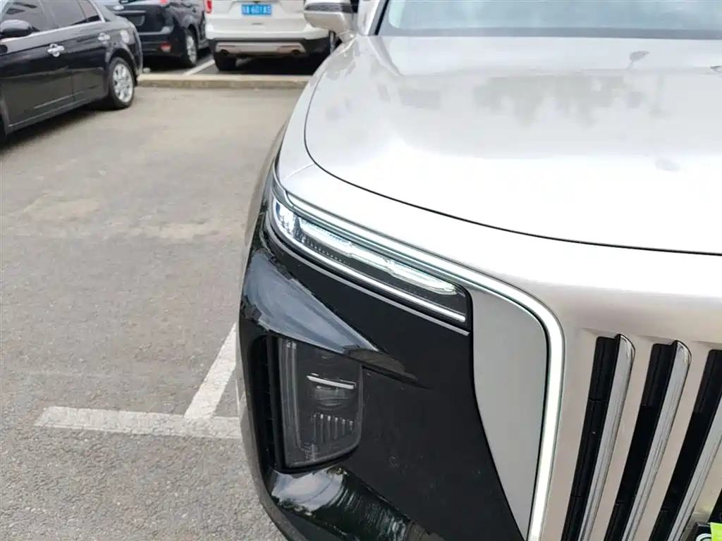 Hongqi E-HS9 2022 660km Qi Ling Edition (4-seater) фото 13