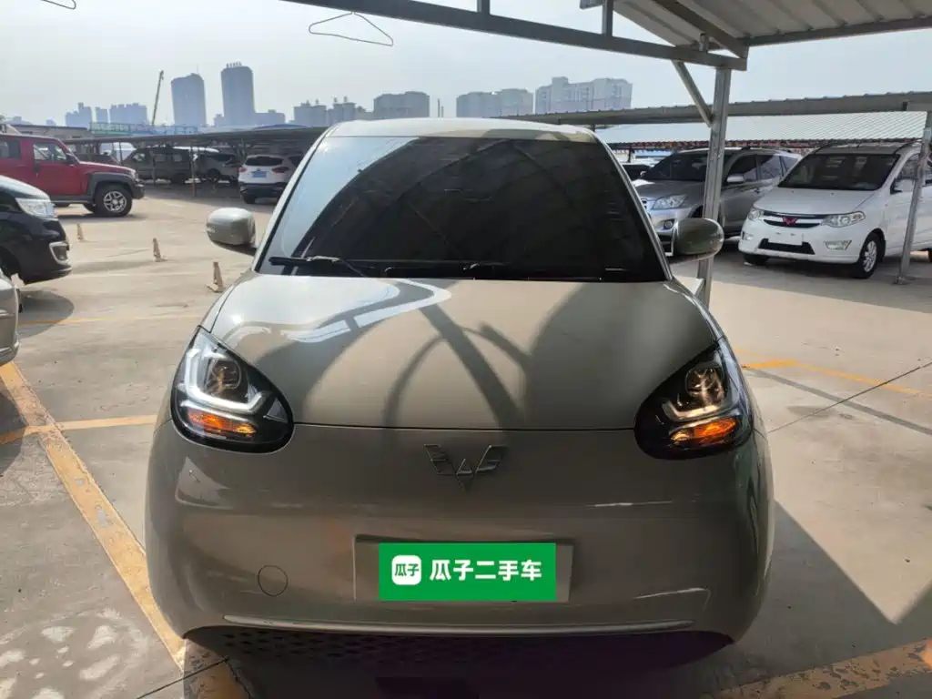 Wuling Motors Wuling Bingo 2023 2023 Model 203km Lite Enjoyment Edition