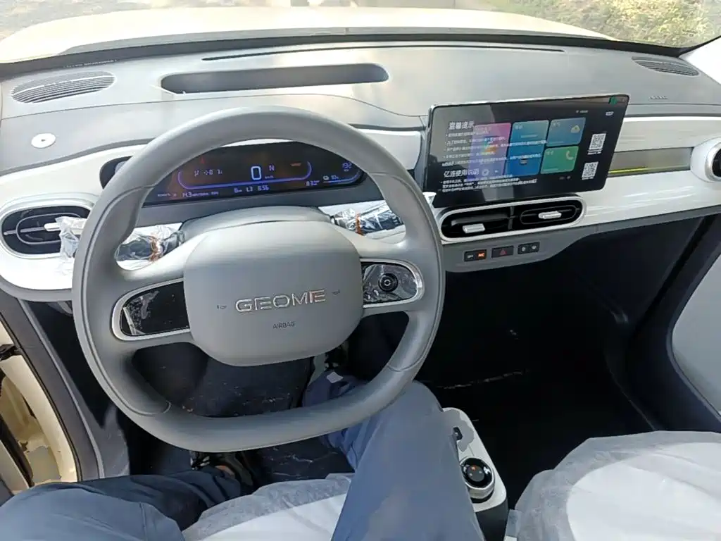 Geely Galaxy Panda 2026 2025 Panda mini 210km Vitality Bear