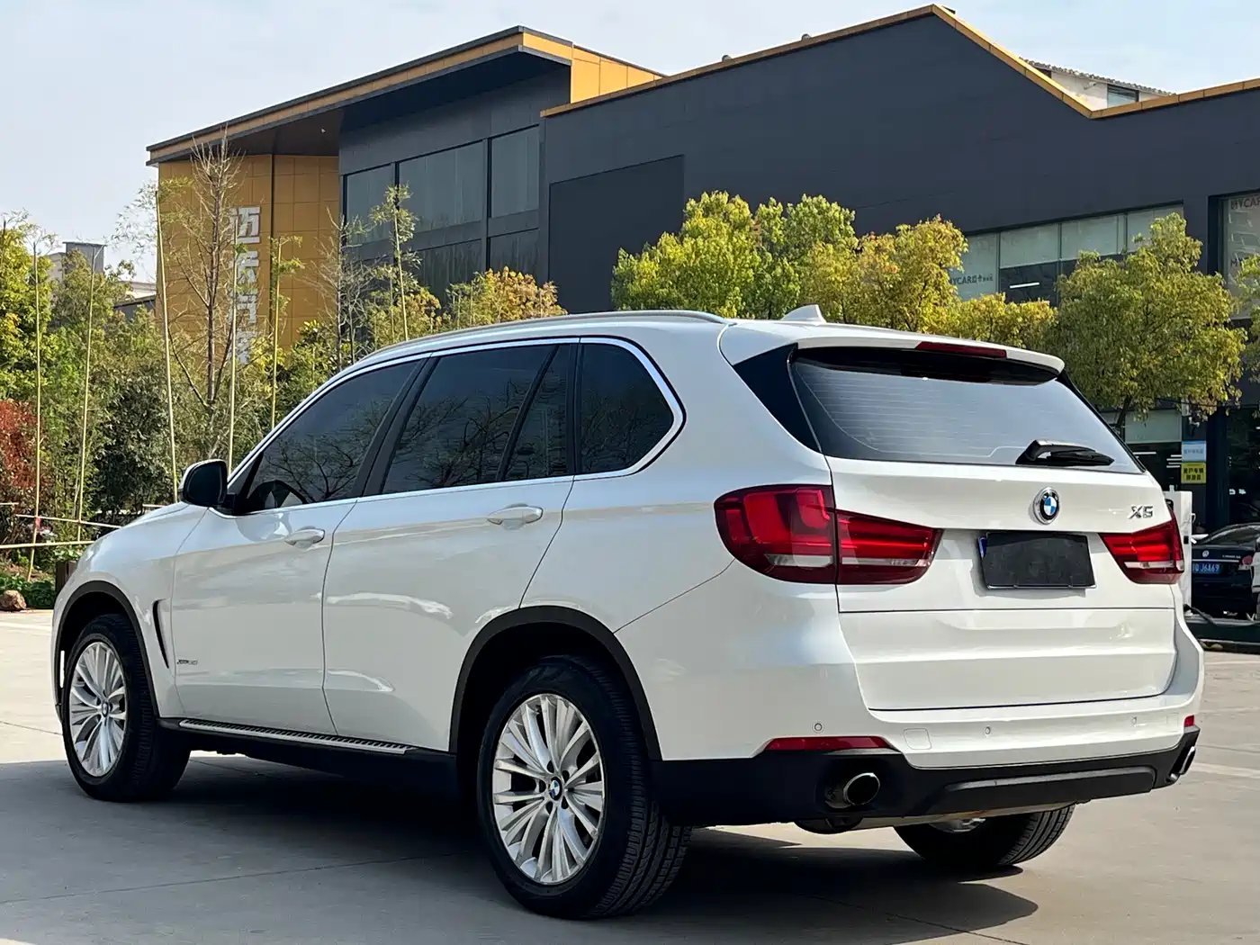 BMW X5 (Import) 2014 xDrive35i Leading фото 7