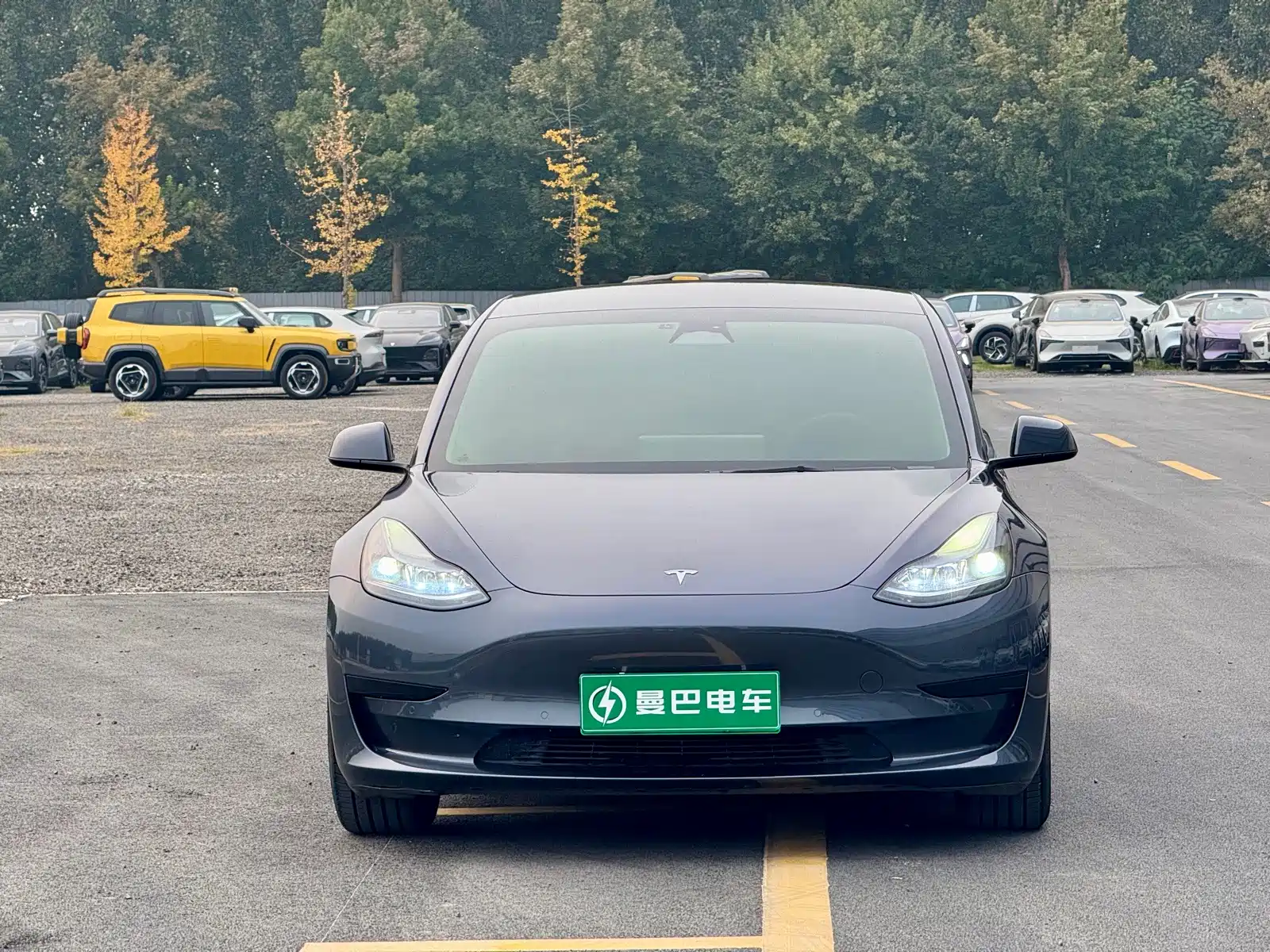 Фото 2 - Tesla Model 3