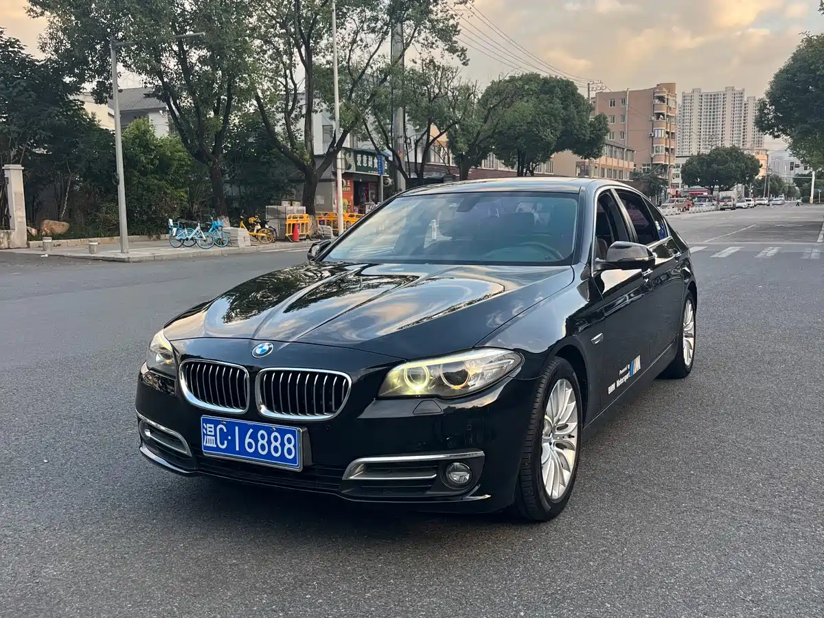 BMW 5 Series 2014 525Li Luxury Design Package