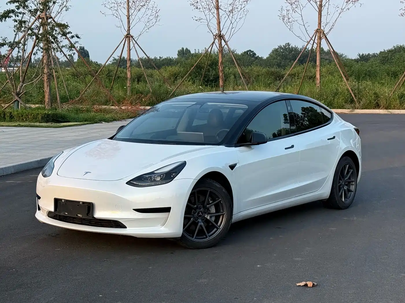 Tesla Model 3, 2021 год