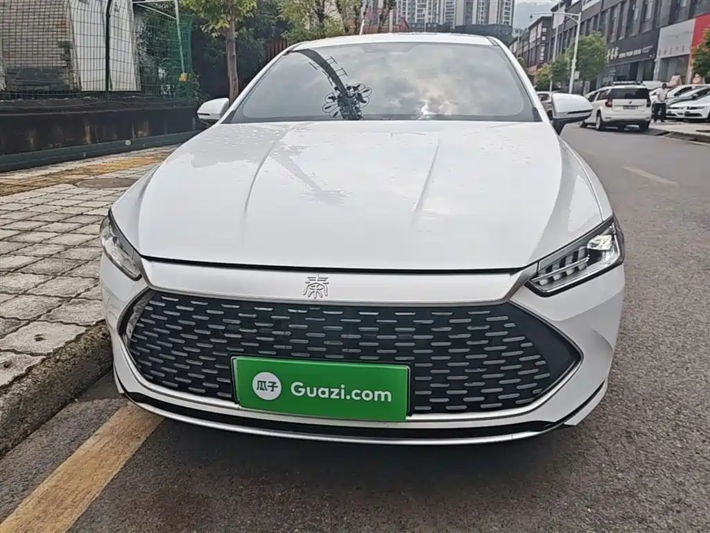 BYD Qin PLUS 2024 Glory Edition DM-i 55KM Leading фото 3