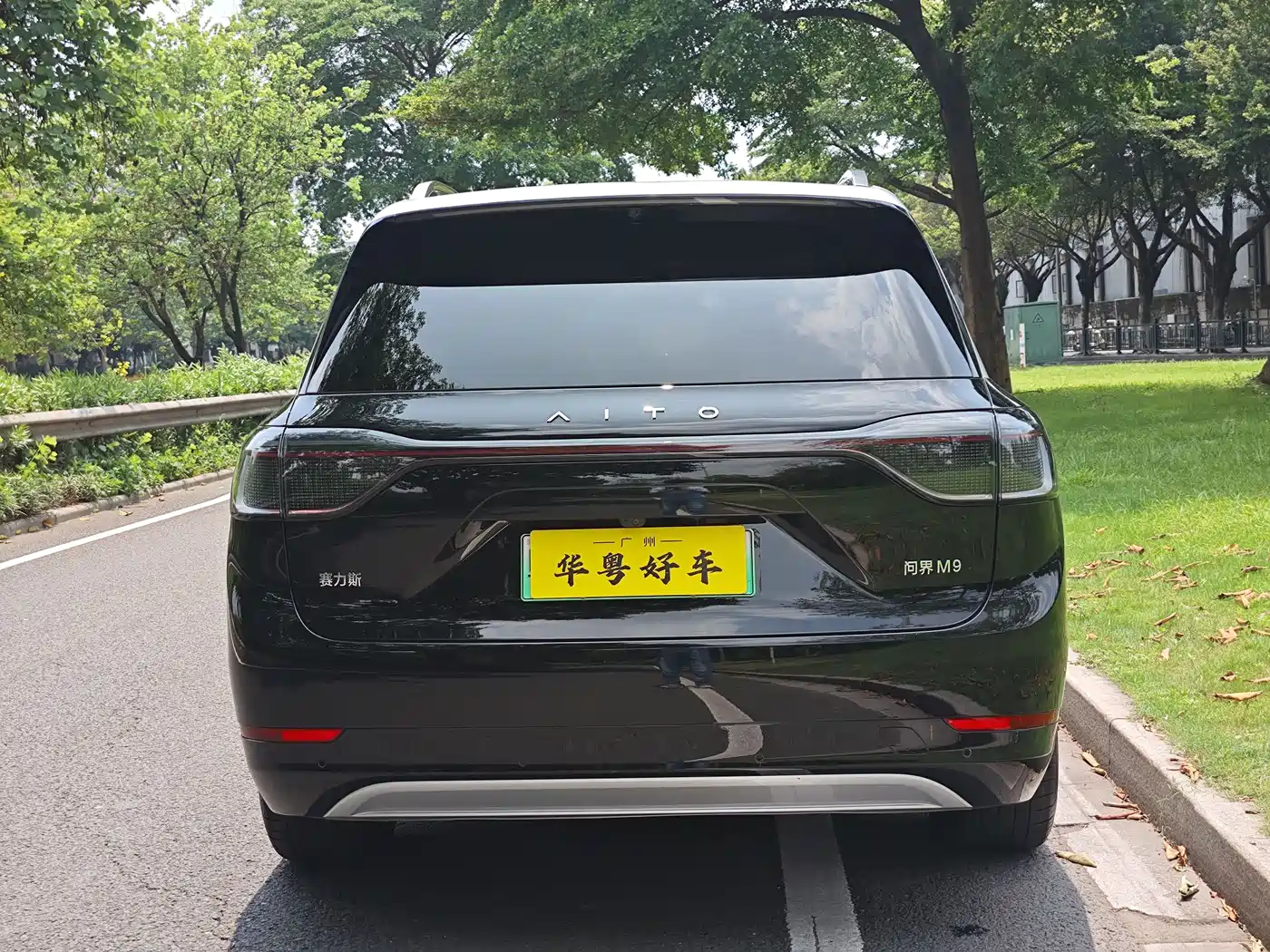 AITO Wenjie AITO M9 2024 Extended Range Ultra 42kWh 6-Seater фото 3