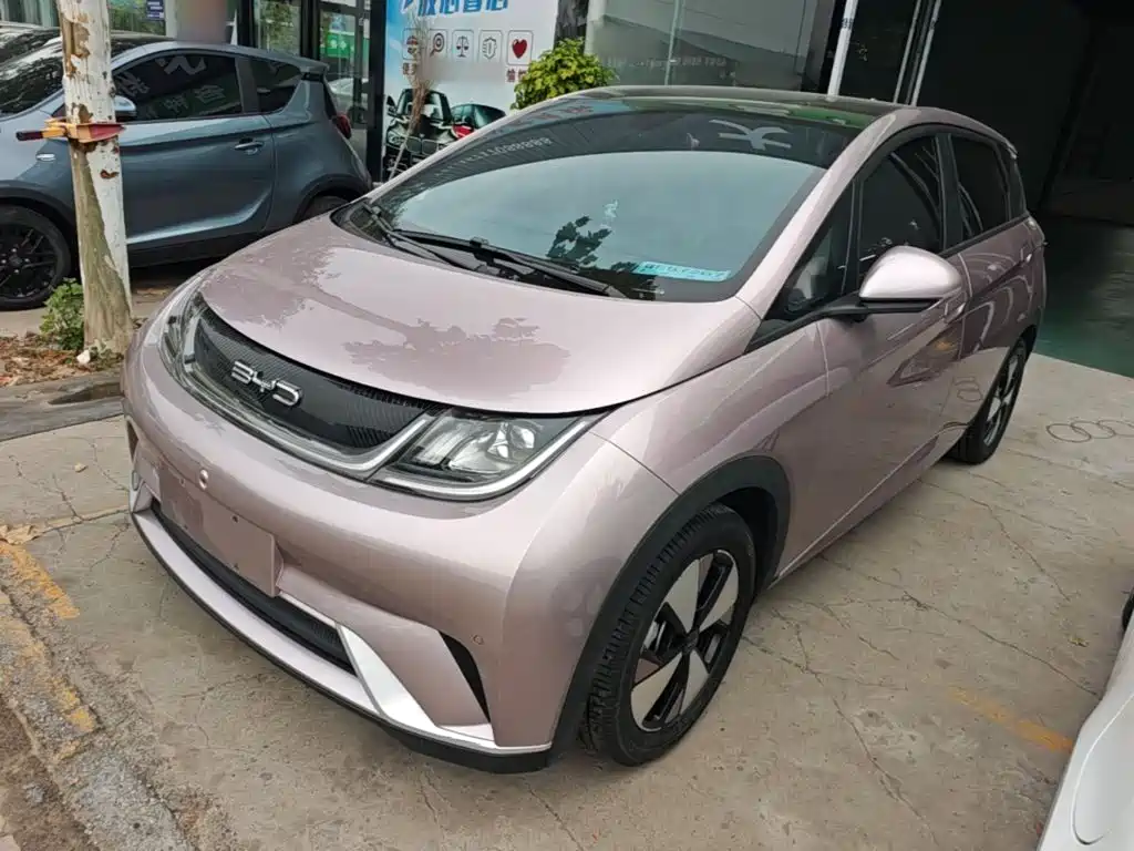 Фото 1 - BYD Dolphin