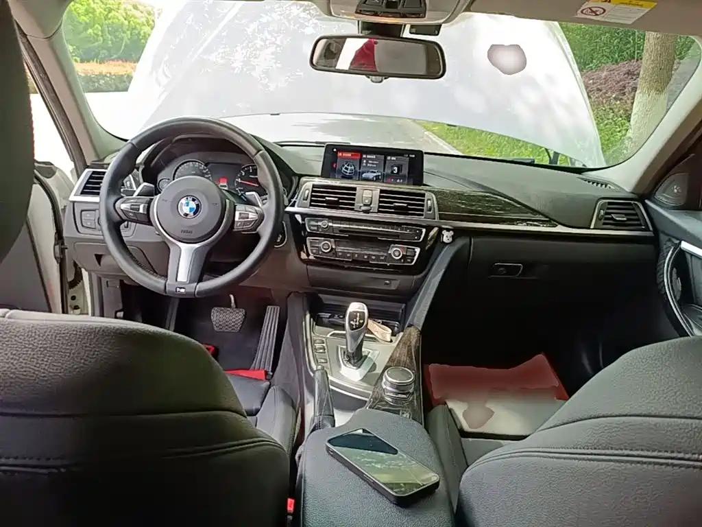BMW 3 Series 2018 320Li M Sport Black Night Edition фото 10