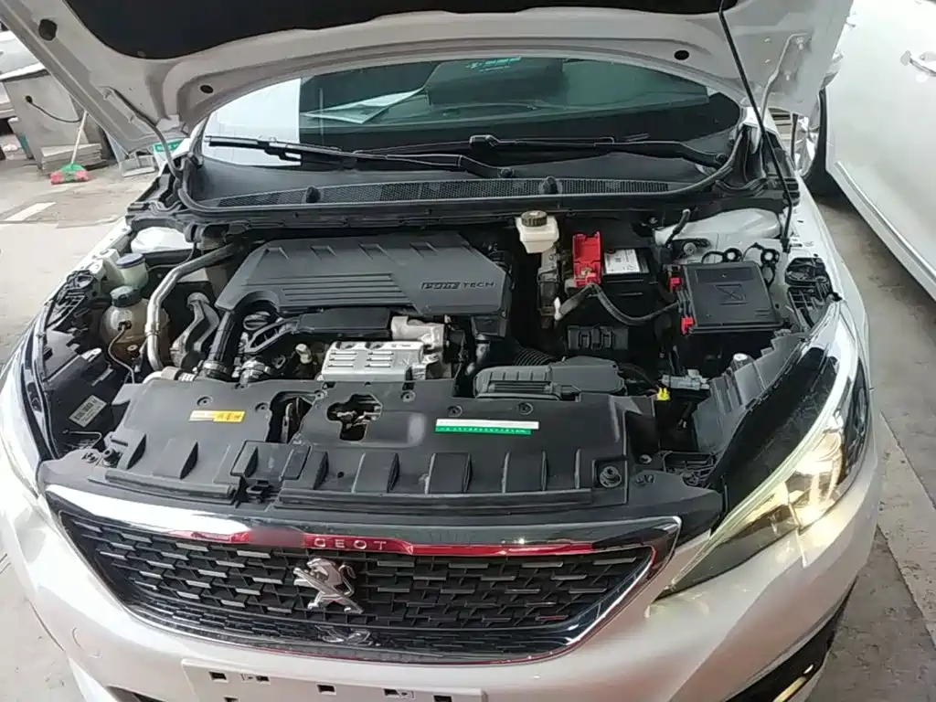 صورة 20 - Peugeot 308