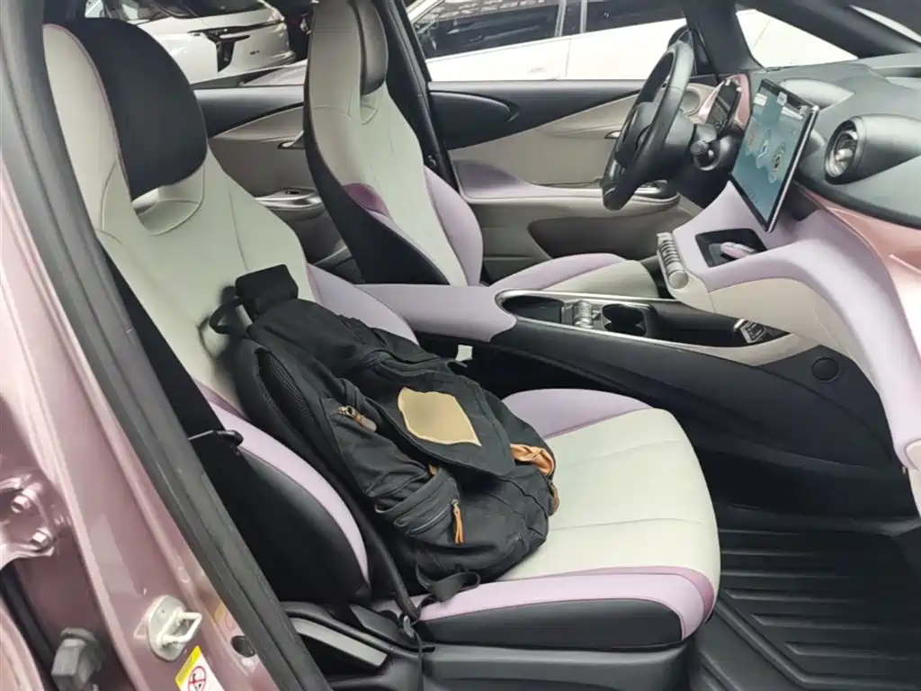 BYD Dolphin 2021 Model 405km Fashion Edition фото 25