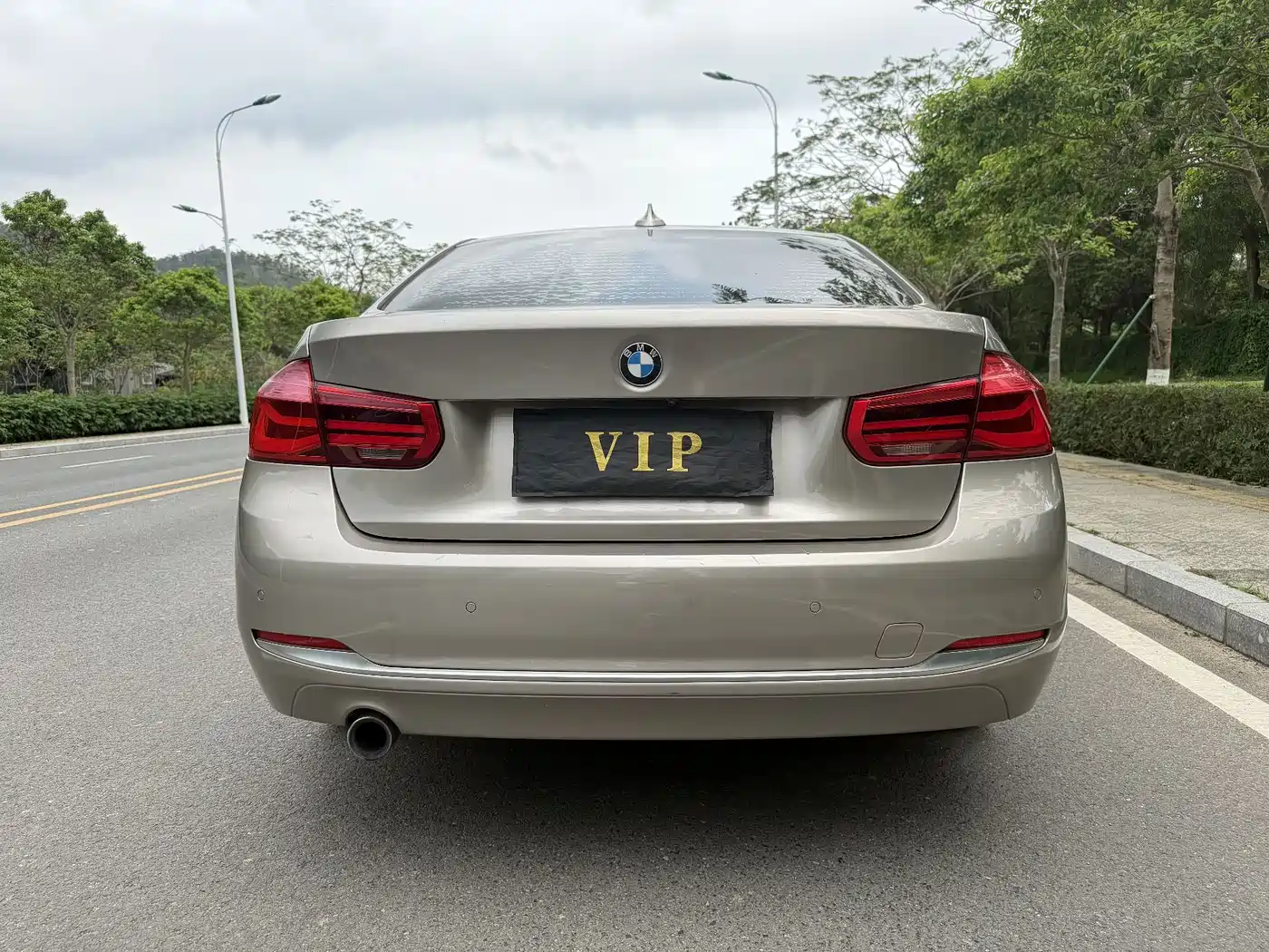 BMW 3 Series 2018 318Li фото 5