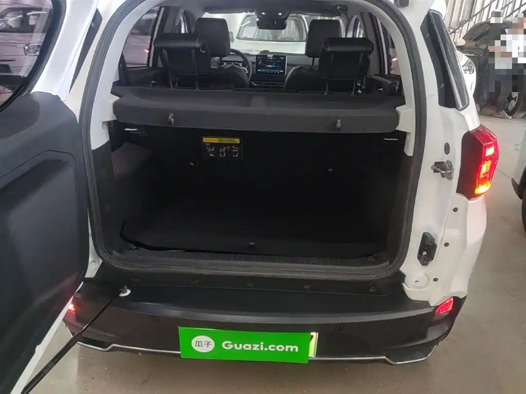 BYD Yuan New Energy 2019 EV535 High Energy Navigation Edition фото 19