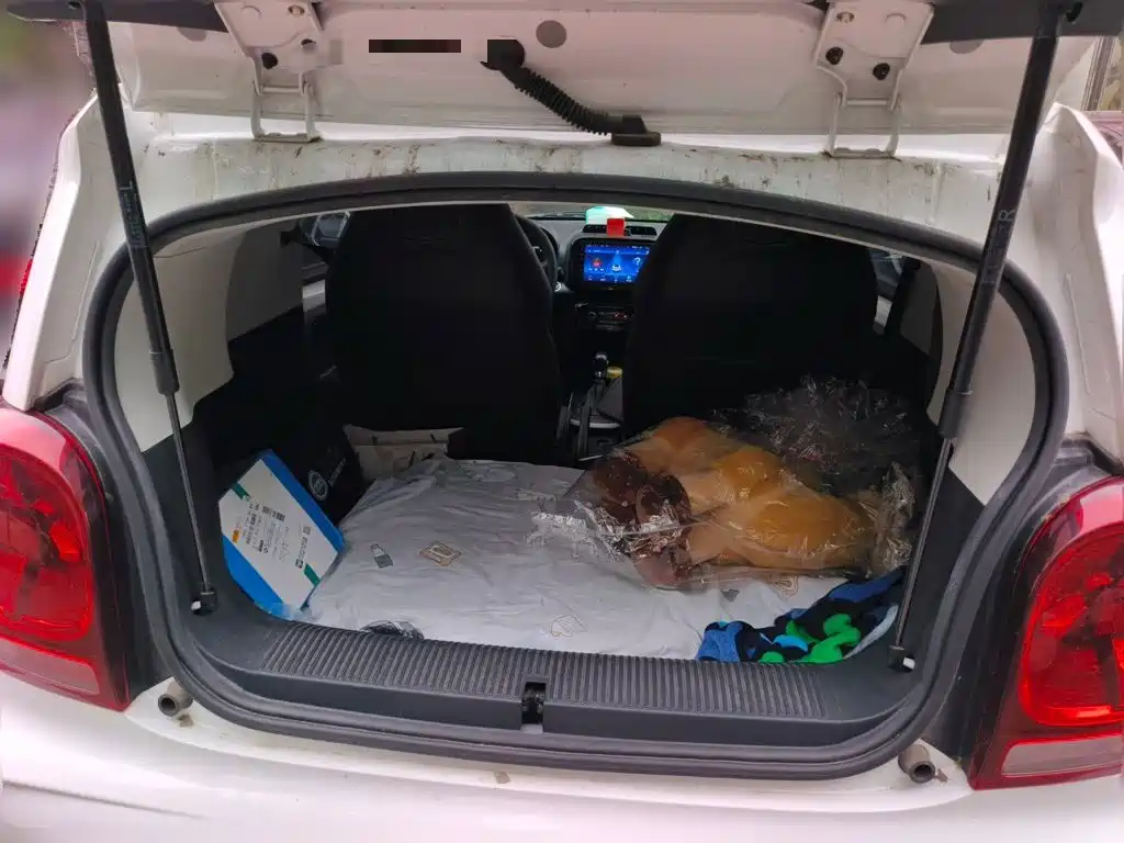 Roewe Kaiwei CLEVER 2023 2022 311km Vitality Bobo Edition