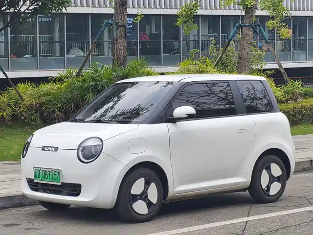 Changan Qiyuan Changan Lumin 2024