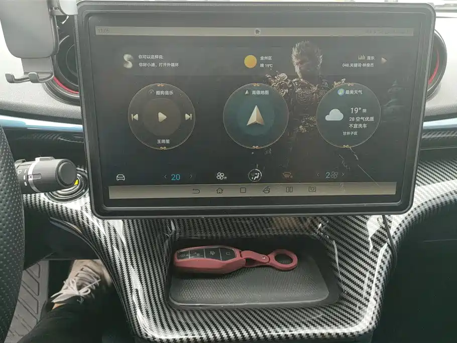 BYD Dolphin 2021 401km Knight Edition фото 13
