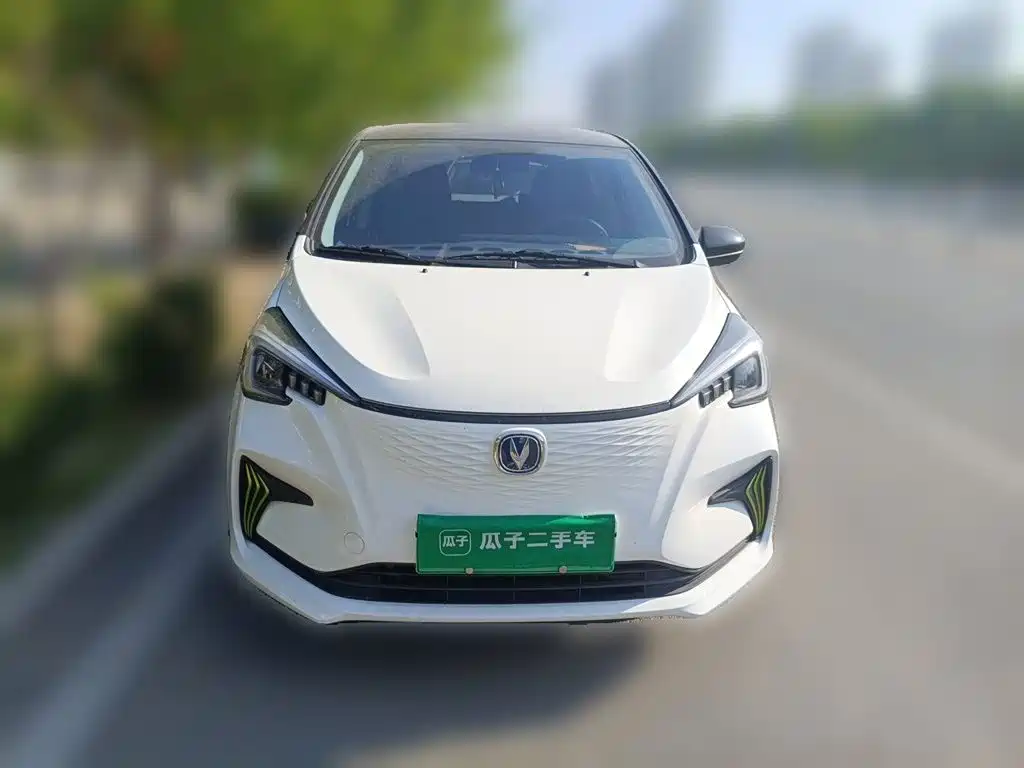 Changan Benben E-Star 2022 2022 Serenity Edition Colorful LFP