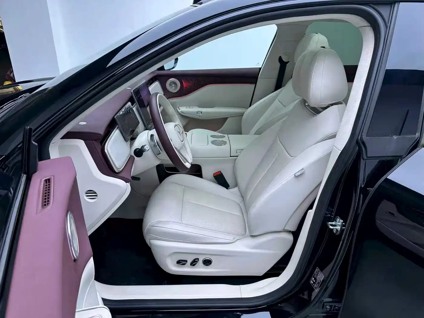 Voyah Auto Voyah Zhiyin 2025 Base фото 13