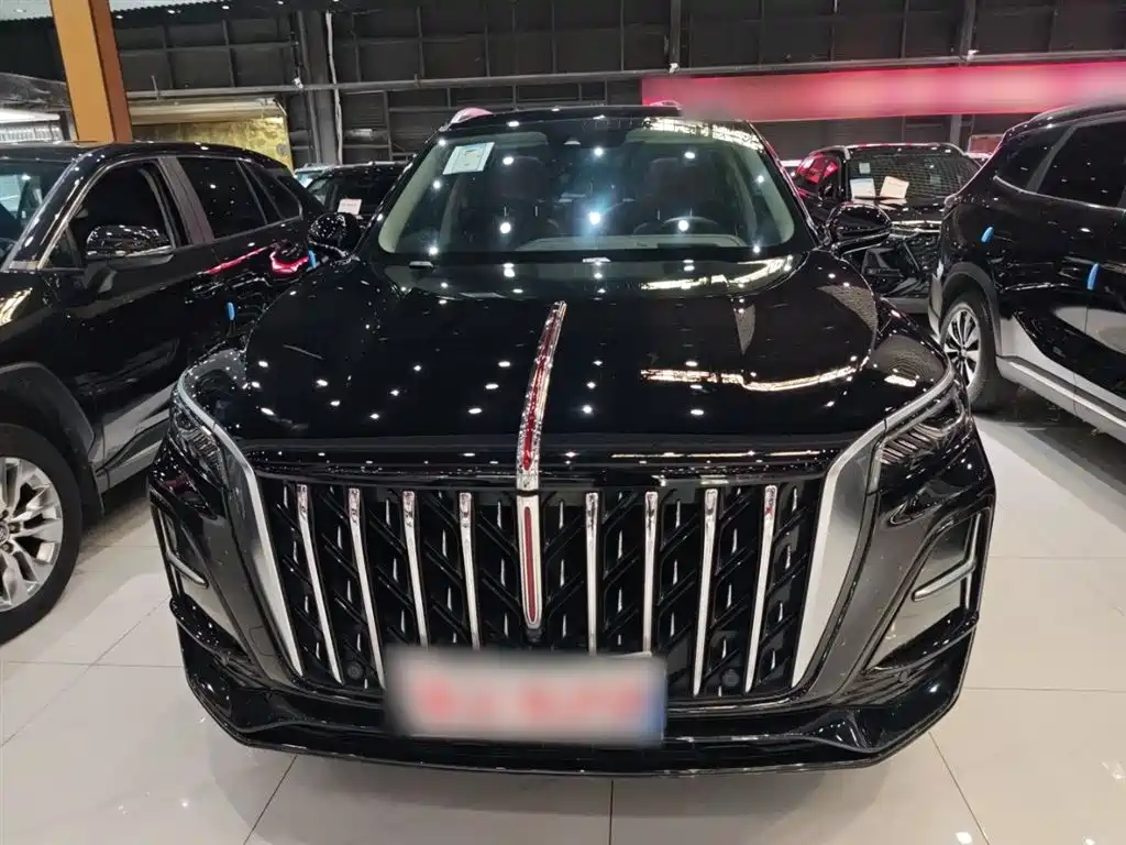 Hongqi HS5 2023 2.0T Flag Enjoy Pro Edition фото 6