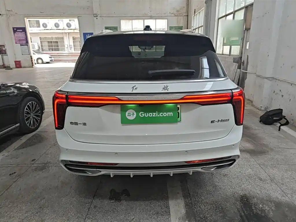 Hongqi E-HS9 2022 660km Qi Chang Edition (6-seater) фото 6