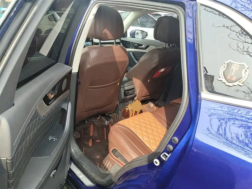 Hongqi HS5 2019 2.0T Smart Connect Enjoy 4WD Edition фото 15