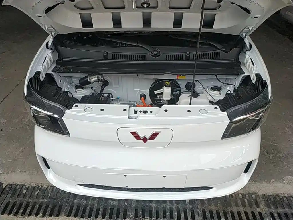 Wuling Motors Wuling Zhiguang NEV 2026 2025 Model 305km Base Version
