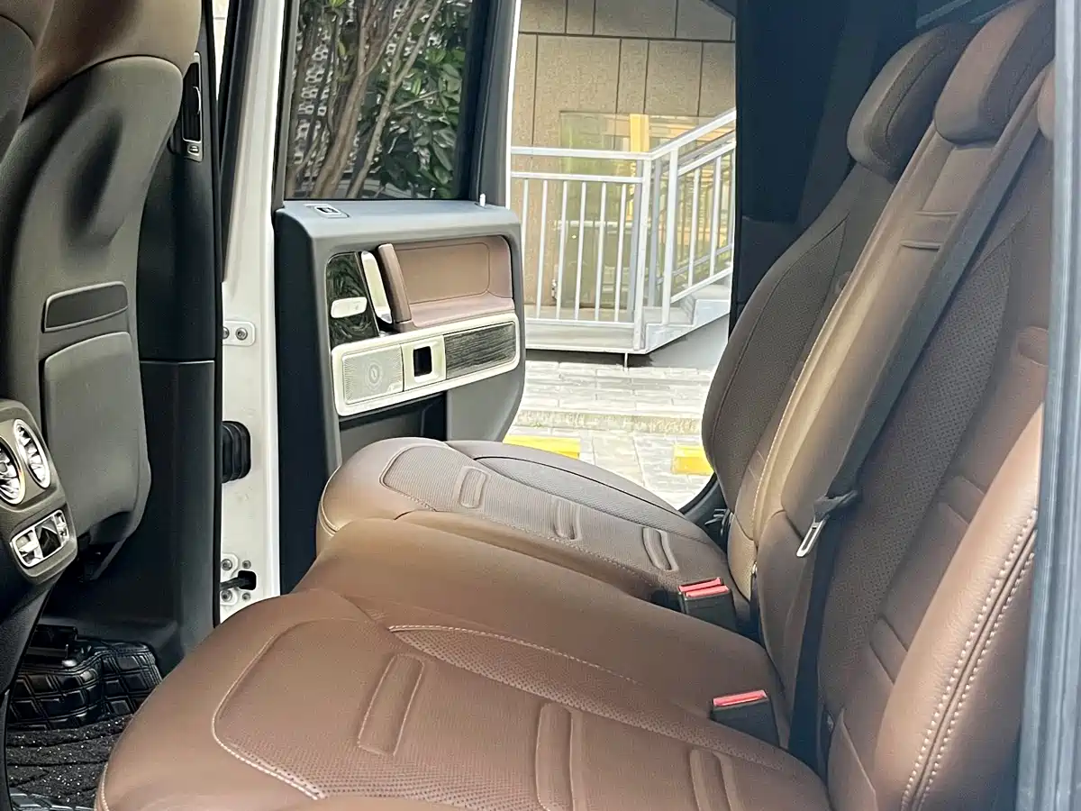 Mercedes-Benz G-Class 2020 G 350 фото 16