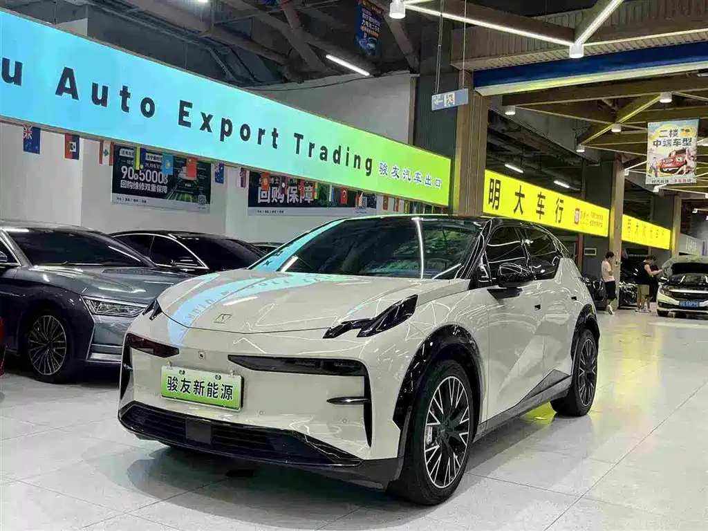 ZEEKR X 2023 2023 RWD YOU Edition 4-seater