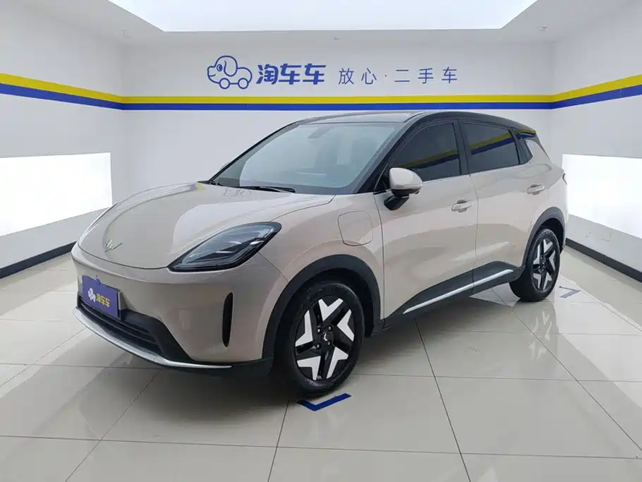 Wuling Motors Wuling Bingo S 2025 Model 325km Flagship Edition