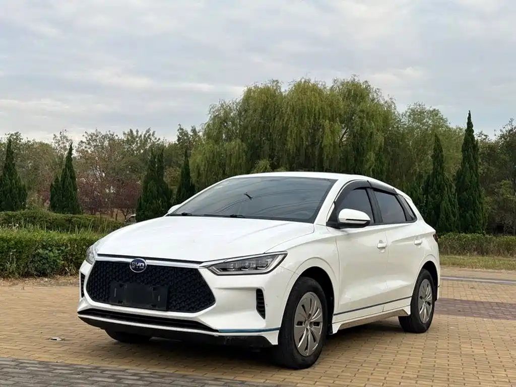 Фото 1 - BYD e2